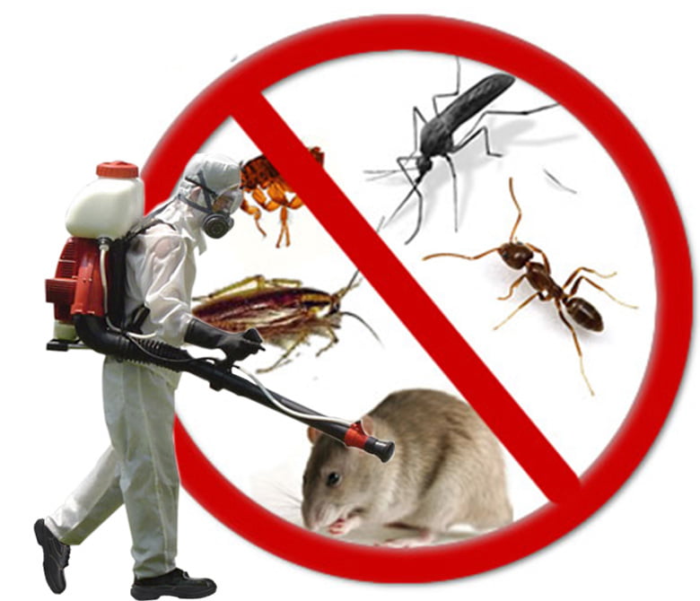 مكافحة الآفات